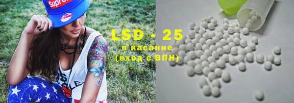 винт Богданович